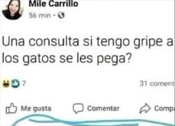 Enlace a No hay justificación para una cosa así