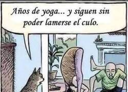 Enlace a Se sienten tan superiores...