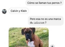 Enlace a Unos nombres muy bien puestos