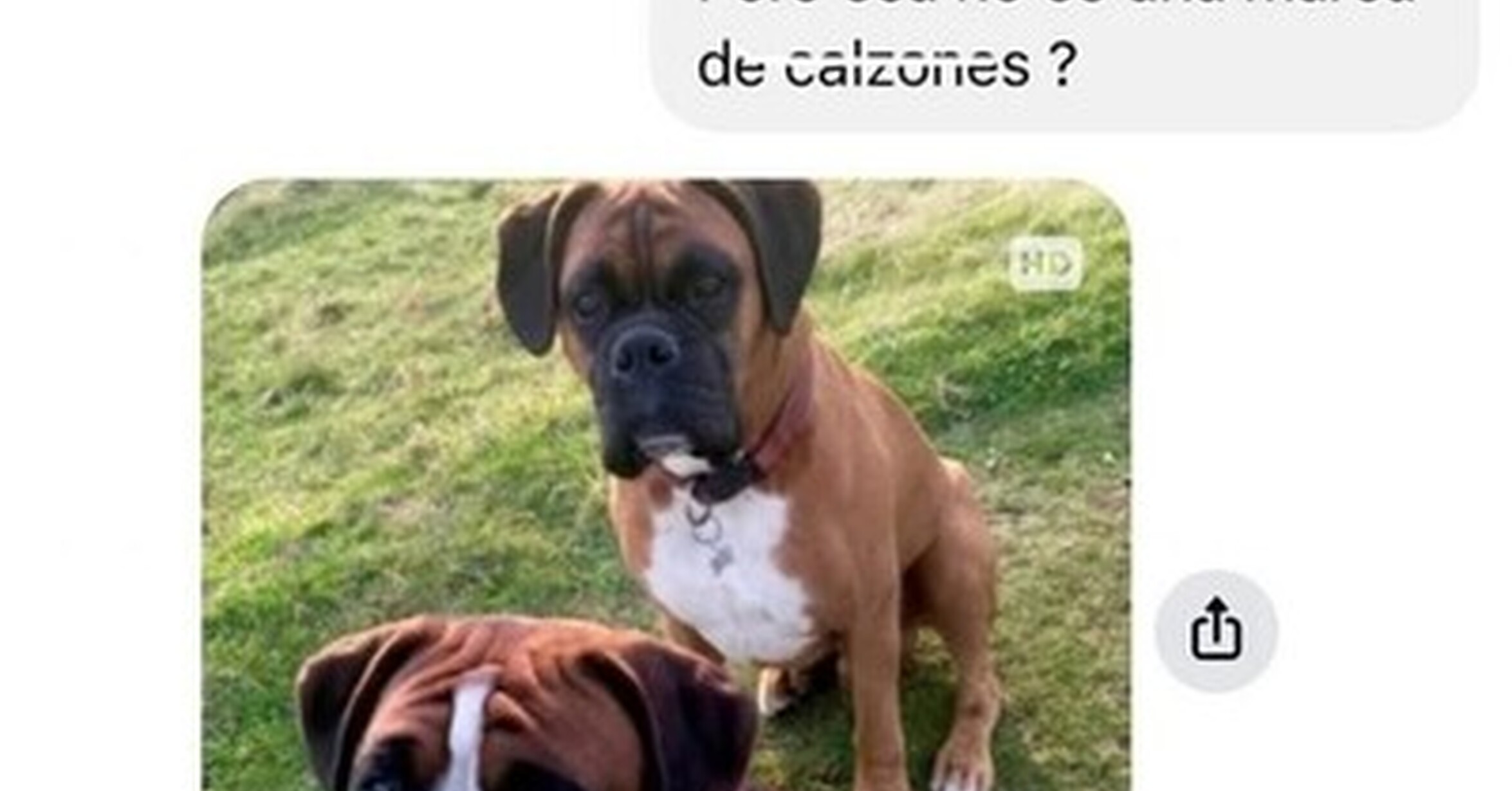 Unos nombres muy bien puestos