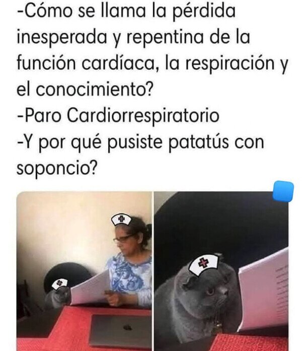 Meme_otros - Yo en el examen final de medicina