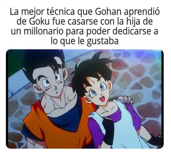Meme_otros - La mejor técnica que aprendió