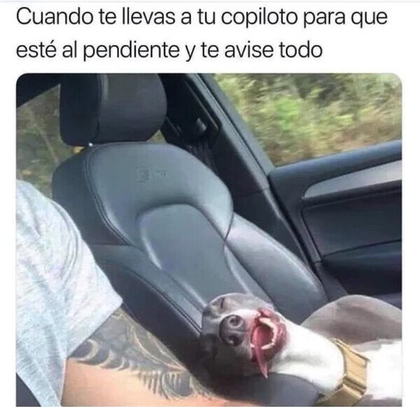 Otros - Copiloto somnoliento