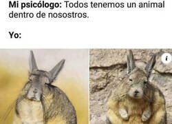 Enlace a Mi animal interior