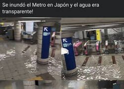 Enlace a Esto sí es primer mundo