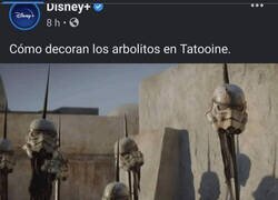 Enlace a No hombre no