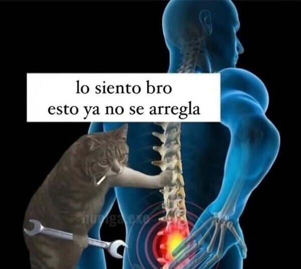 Meme_otros - No tiene remedio