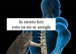 Enlace a No tiene remedio