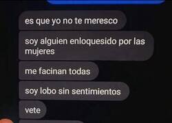 Enlace a Un lobo sin sentimientos