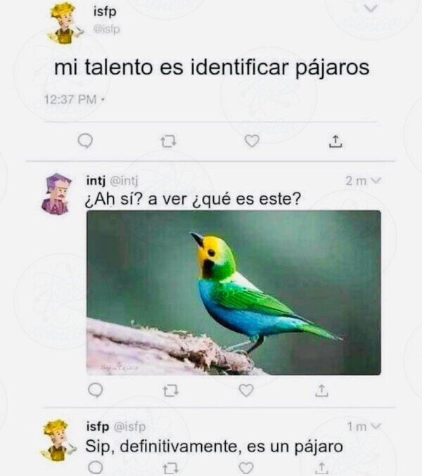 Otros - Indentificador de pájaros