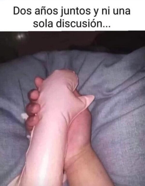 Meme_otros - Amor de plástico