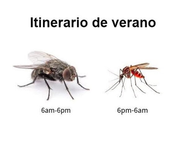 Meme_otros - Turno de día y de noche