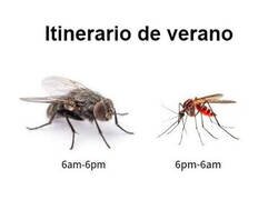 Enlace a Turno de día y de noche