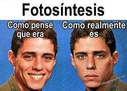 Enlace a Me gustaba más el dibujito