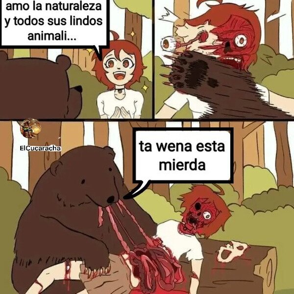 Meme_otros - Los adorables animalitos del bosque