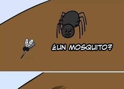 Enlace a Que poco se valora el trabajo que hacen