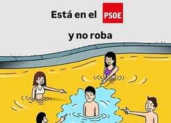 Enlace a El rarito del grupo