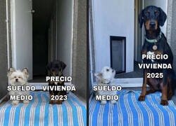 Enlace a Esta diferencia no es normal