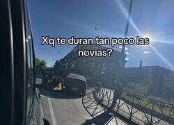 Enlace a ¿Tú lo ves normal?