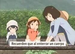 Enlace a El consejo del día