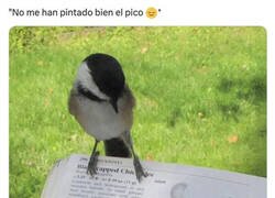 Enlace a ¡Menudos pájaros!