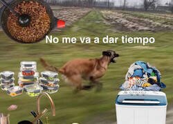 Enlace a Ser adulto conlleva responsabilidades