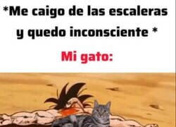 Enlace a Al menos no me abandona