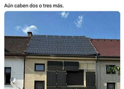 Enlace a Apostando por las renovables