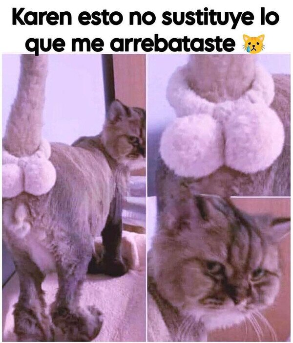 Meme_otros - El daño ya está hecho