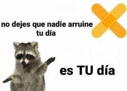 Enlace a Soy especialista en eso