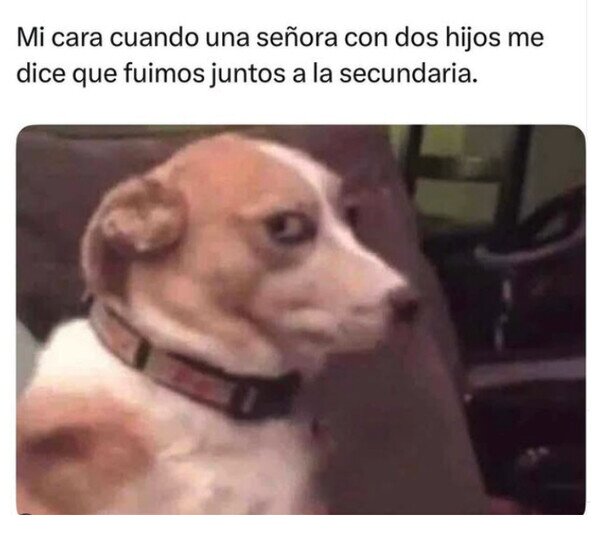 Otros - Yo a usted no la conozco