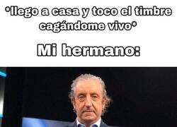 Enlace a Siempre ahí para incordiar