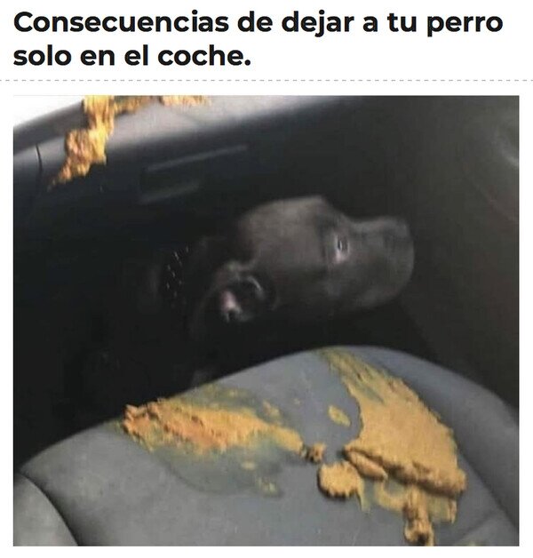 CC_2819153_971311c2c7bd46cf85df74565d971d53_otros_por_dejarme_solo.jpg