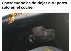 Enlace a Por dejarme solo