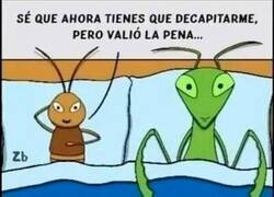 Enlace a Deberá vivir con eso dentro