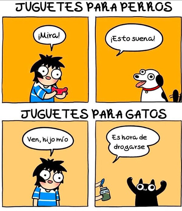 CC_2819172_9ed0d9263d084aac8263c691758f4c7c_meme_otros_juguetes_para_mascotas.jpg