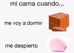 Enlace a Mi cama tiene distintas caras