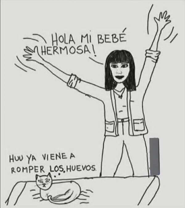 Meme_otros - Lo que tu gato piensa de tí