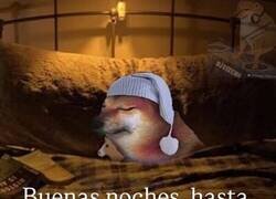 Enlace a Si Irán quiere