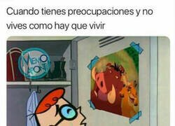 Enlace a Si Timón y Pumba me vieran...
