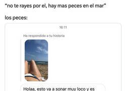 Enlace a No todos los peces somos así