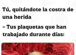 Enlace a Tanto trabajo para nada