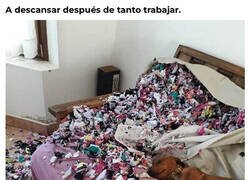 Enlace a Una dura jornada para el Firulais