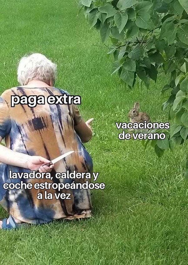 CC_2819454_72423bdc9d974a1bb4768669090c8c77_meme_otros_siempre_pasa_algo.jpg