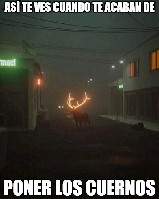 Meme_otros - Así luces