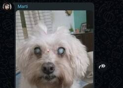 Enlace a Necesita varios servicios