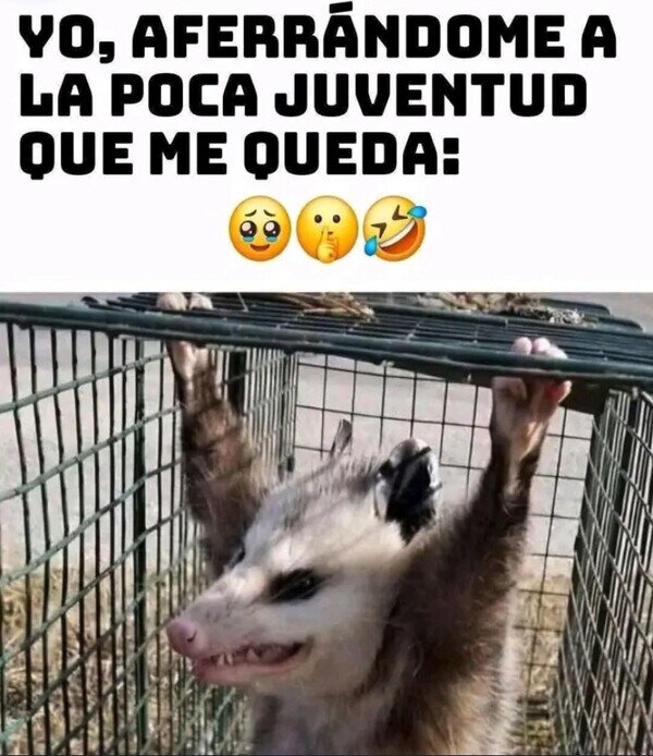 Otros - No pienso soltarme