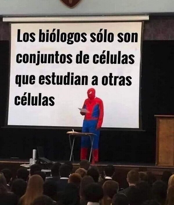 CC_2819539_cb1a4cbc9c2841619fe15055e334f4b6_meme_otros_pensandolo_asi.jpg