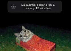 Enlace a Maldición...