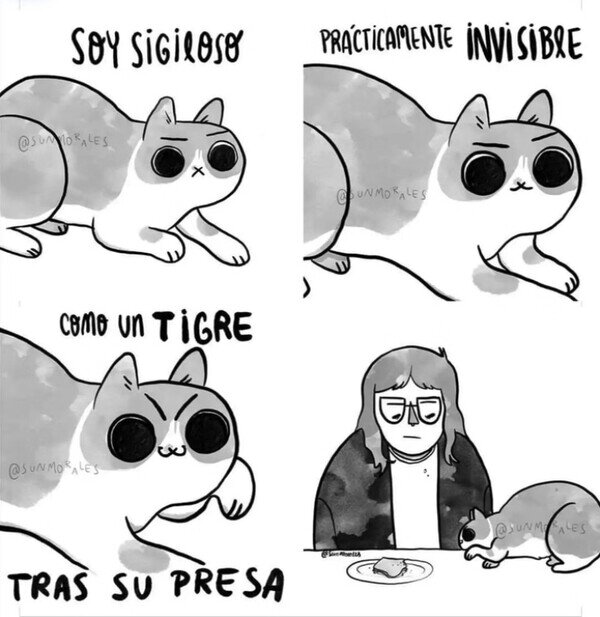CC_2819553_88263340441a40b8b1ff30f6870da5b4_meme_otros_cosas_de_michis.jpg